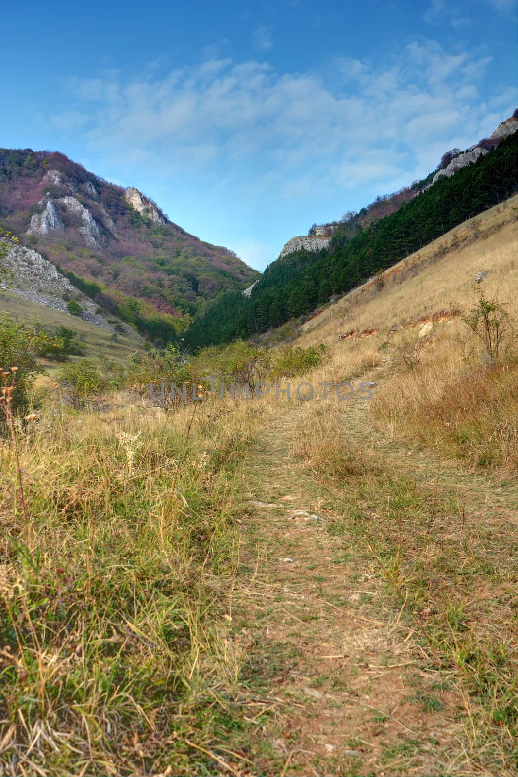 hiking track heading Padinei gorges, Trascau mountains, Romania