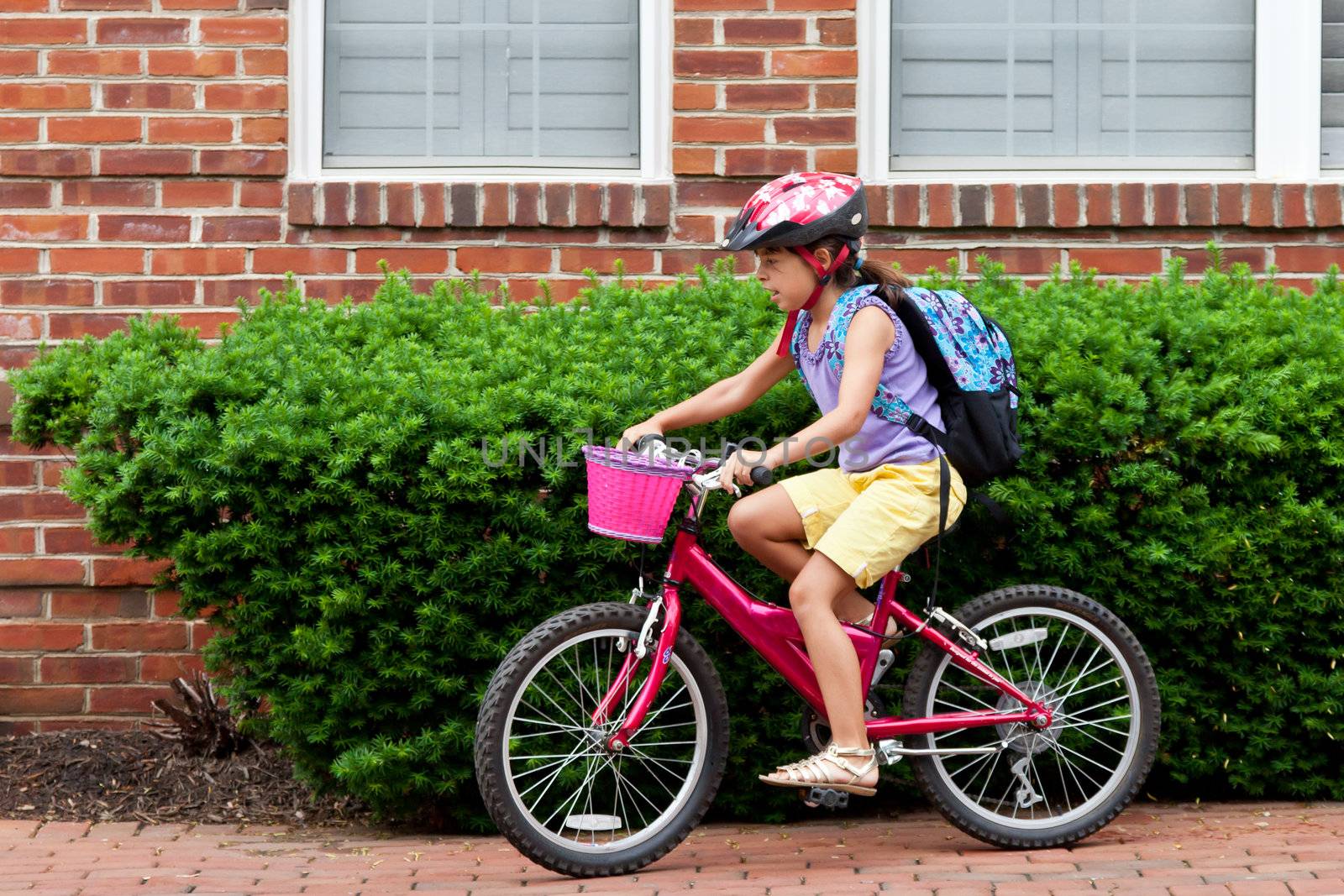 Kids Biking to School by DashaRosato