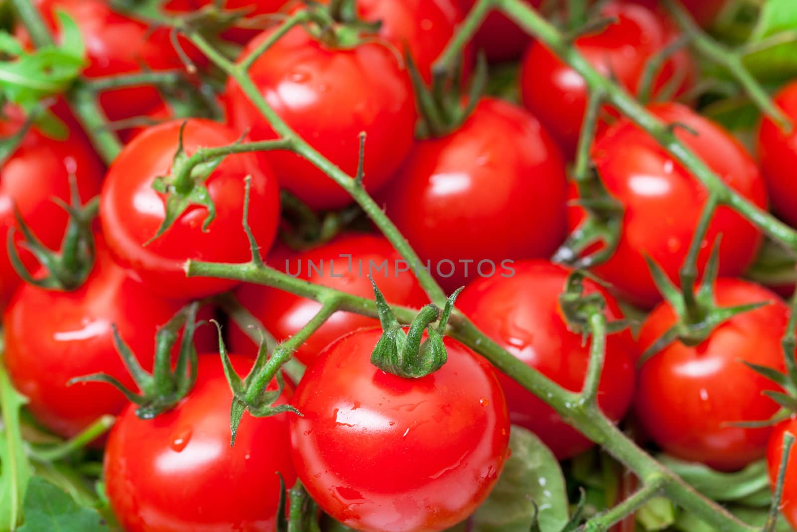 Background of Ripe Cherry Tomatoes by Discovod