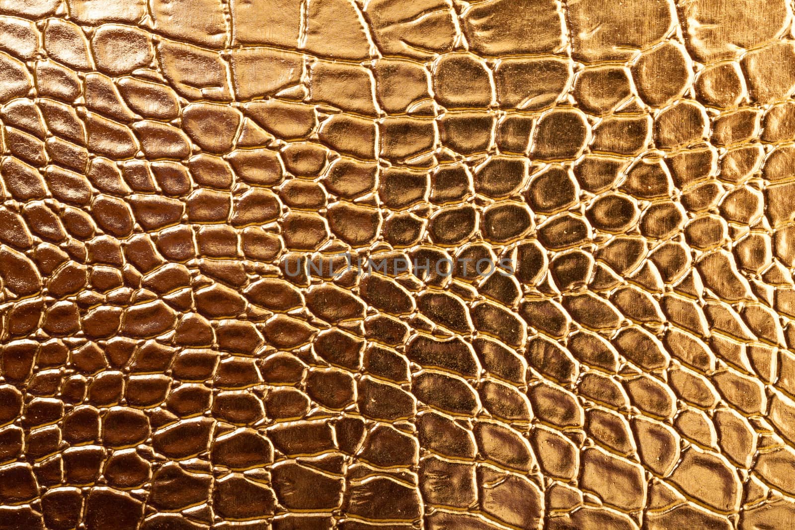 Tint Golden Crocodile Skin Texture, closeup