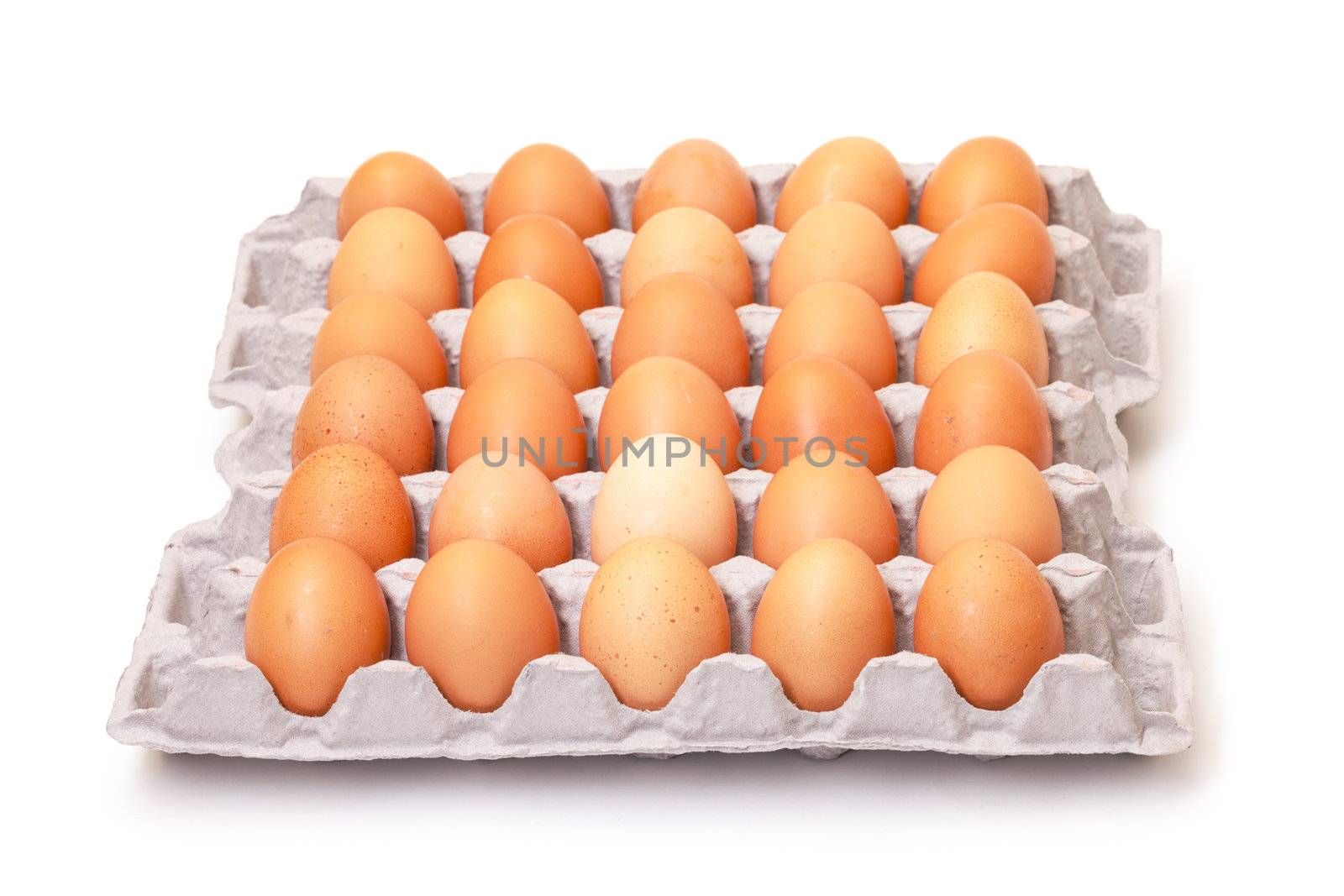 Fresh Brown Eggs in Carton by Discovod