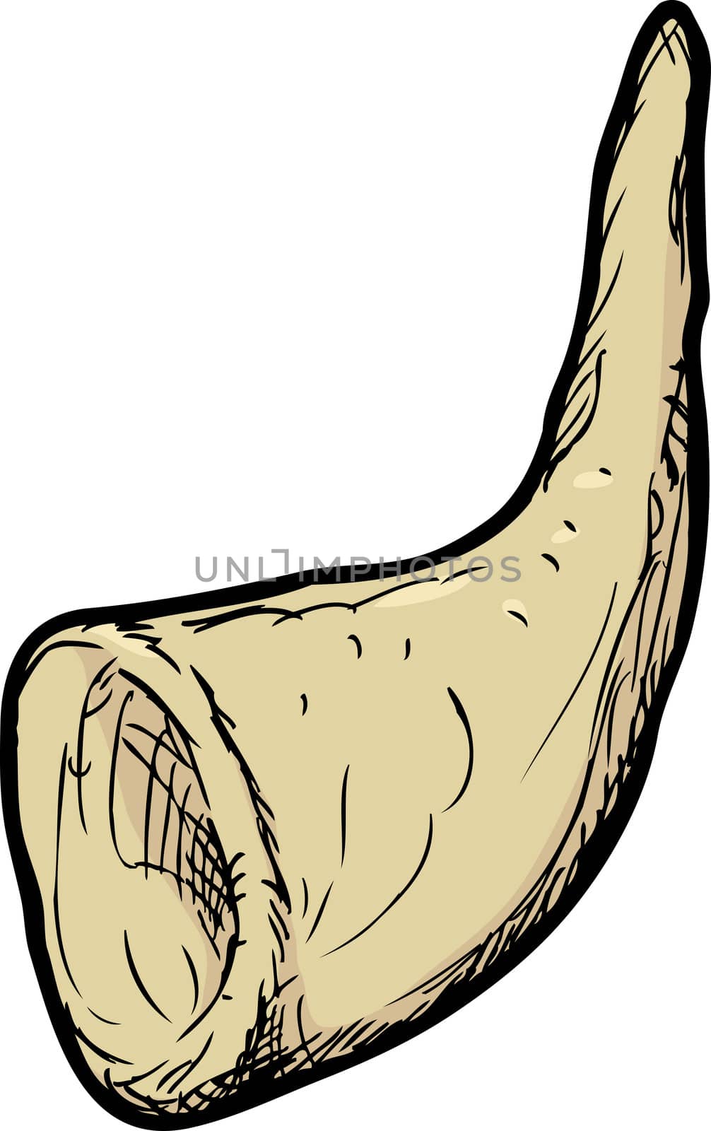 Isolated illustration of one shofar ram horn