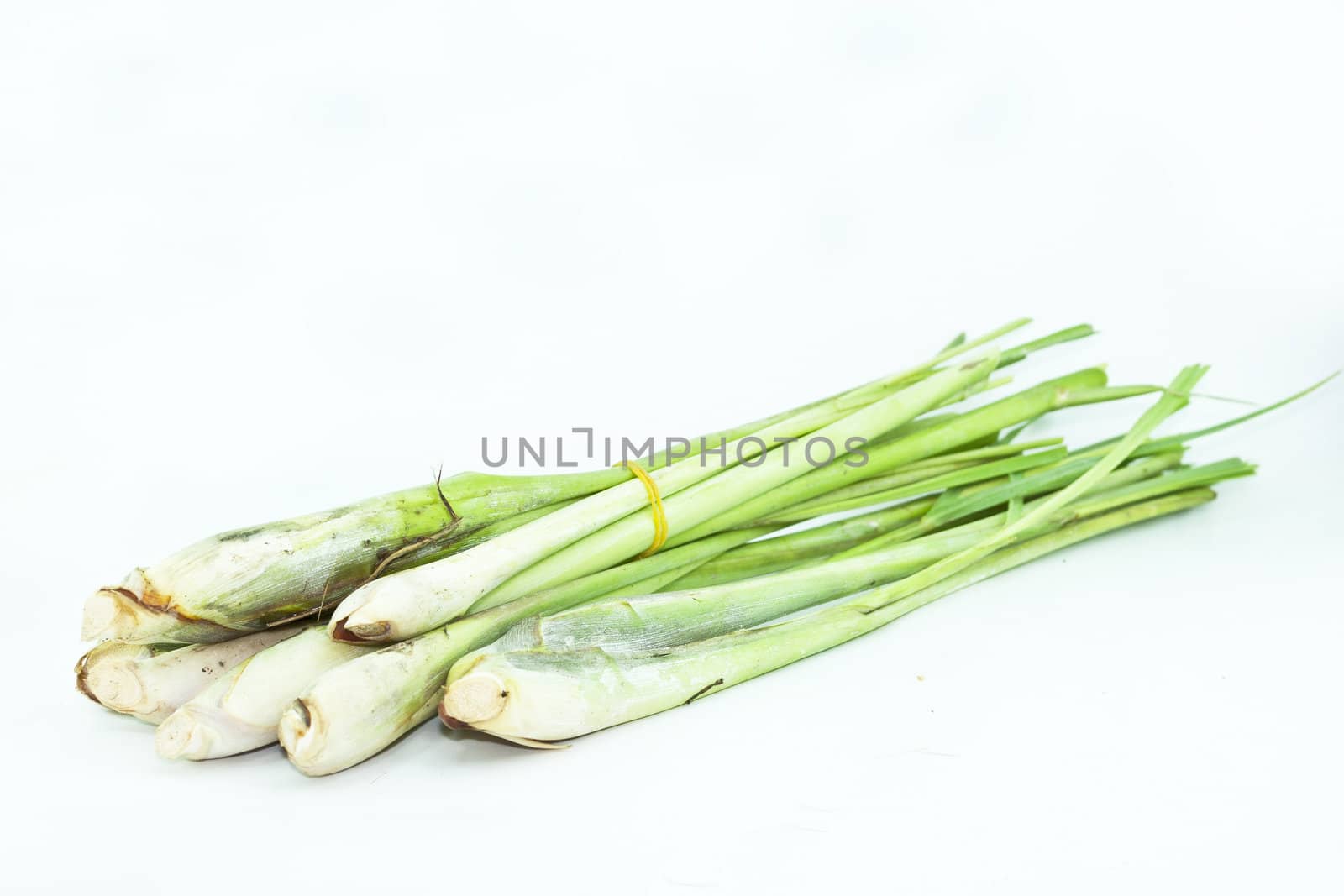 Lemon Grass. Fresh Lemon Grass on background