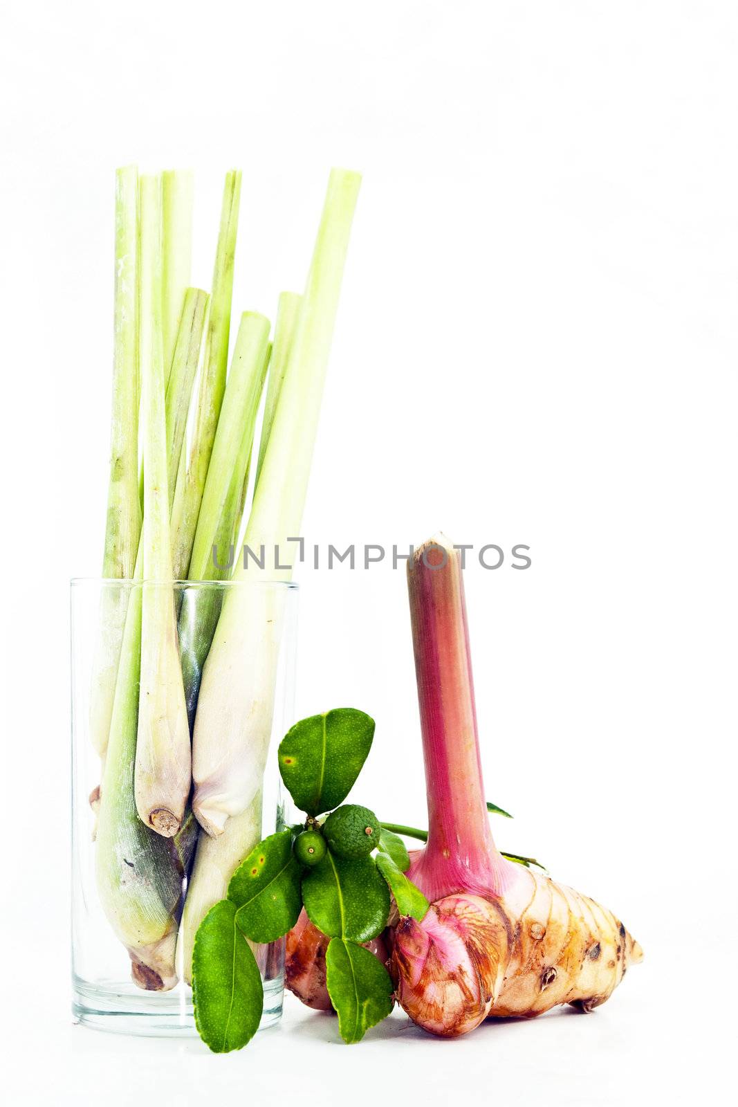 Thai food ingredient for Tom yum kung isolated in white backgroud ,galangal,  lemongrass,bergamot