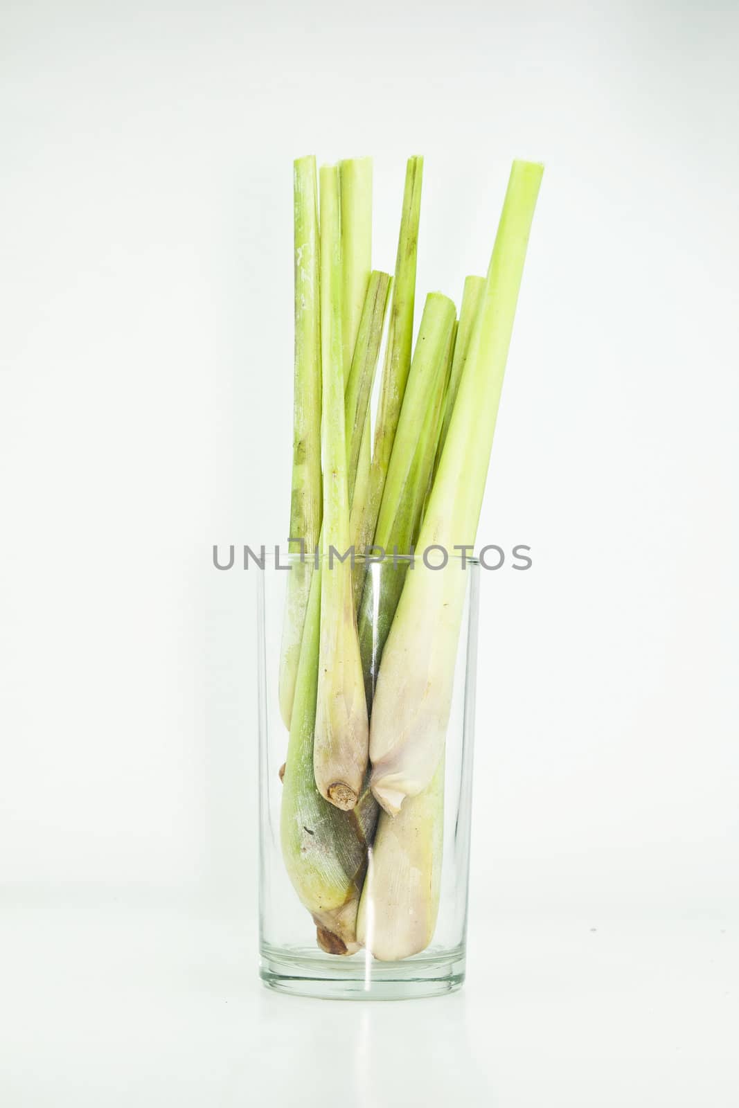 Lemon Grass. Fresh Lemon Grass on background by Yuri2012