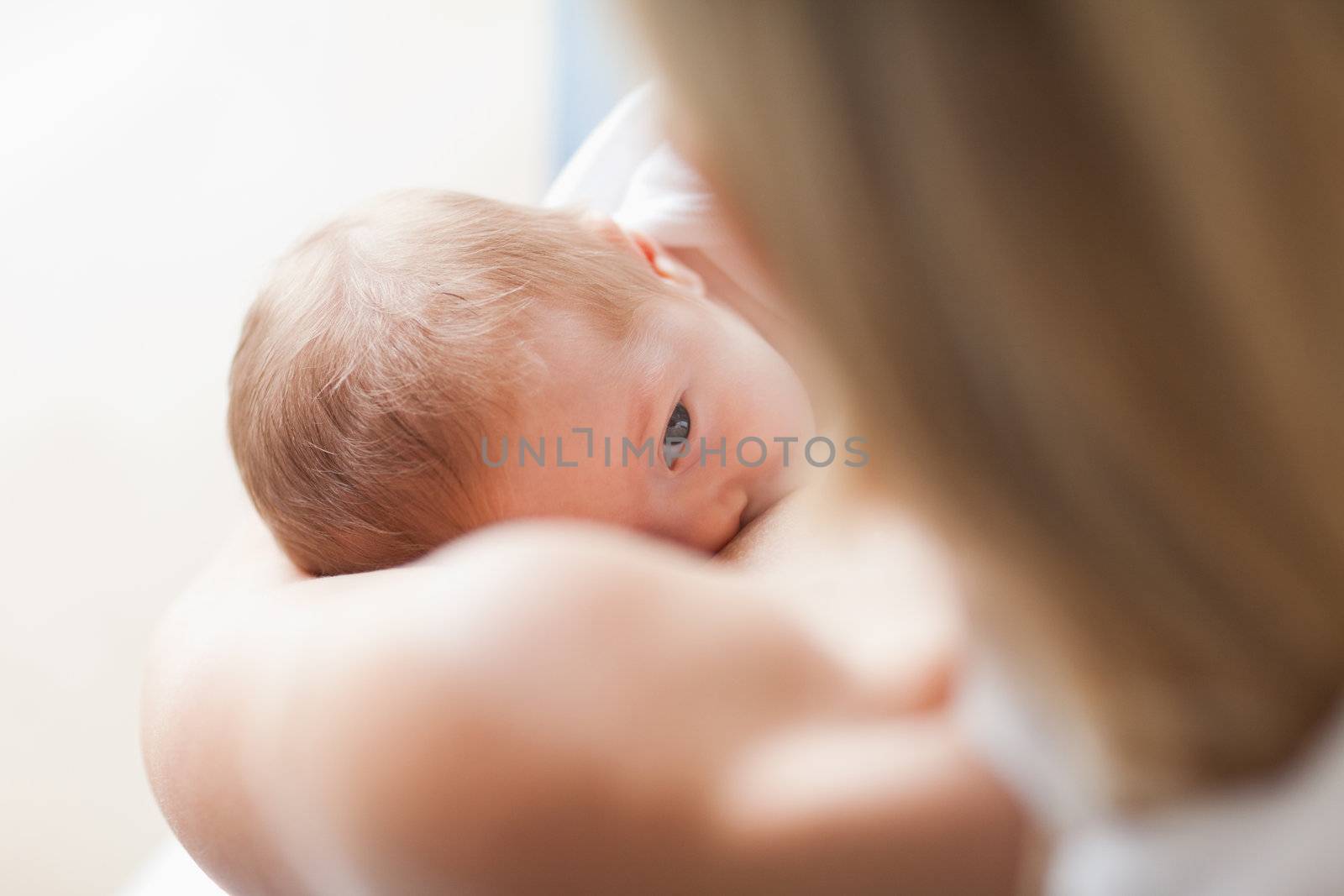 Above view of small newborn getting breastfed