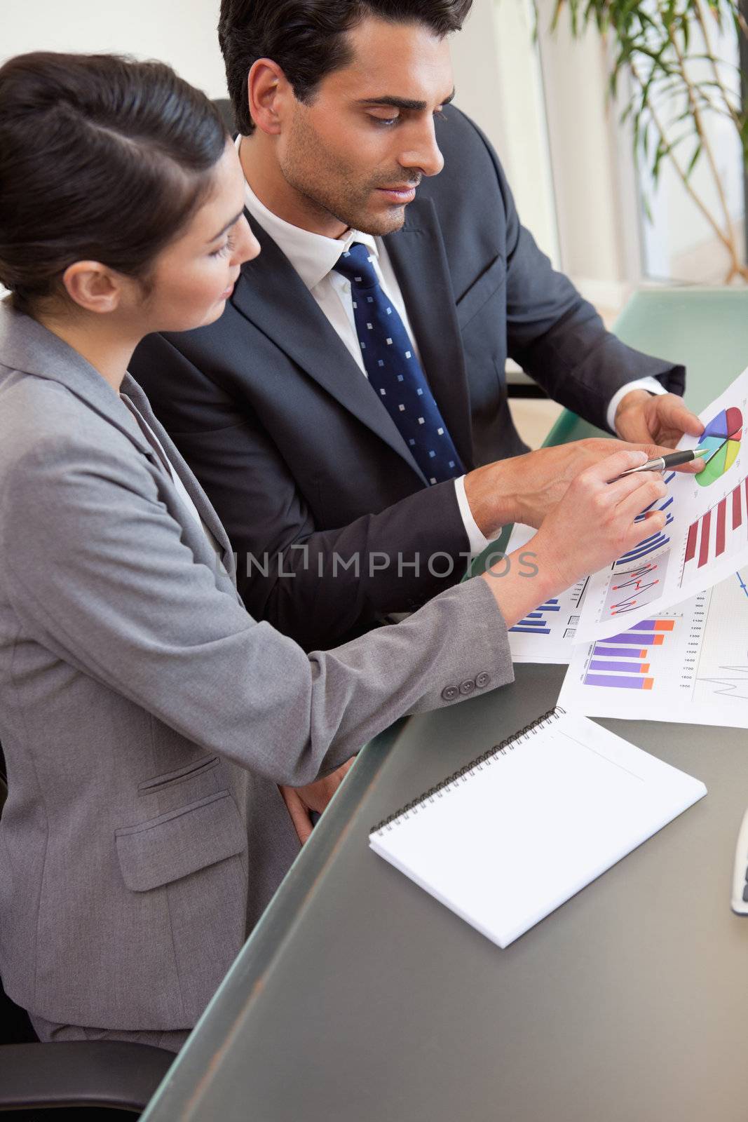 Portrait of young sales persons studying statistics in an office