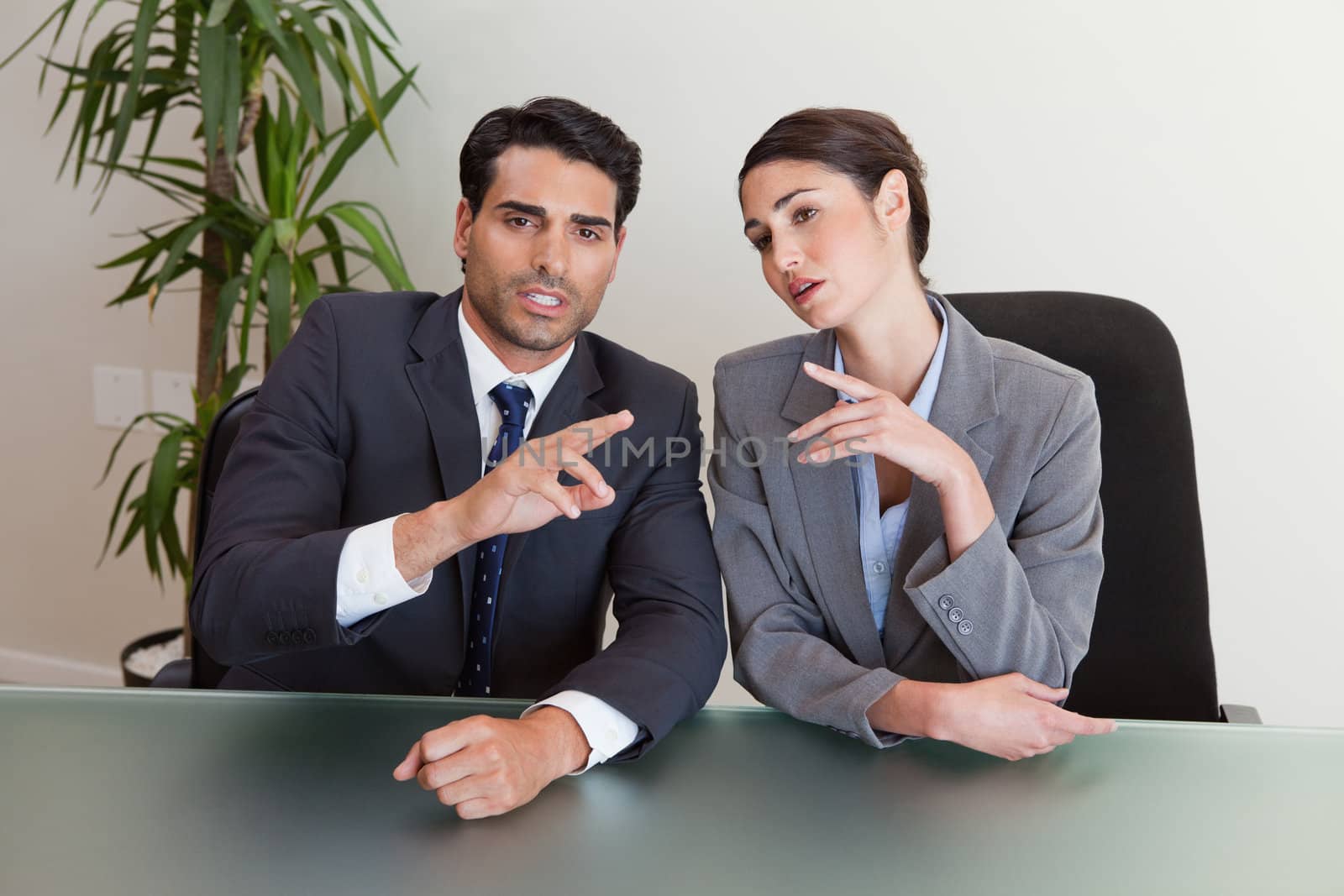 Good looking business people negotiating in a meeting room