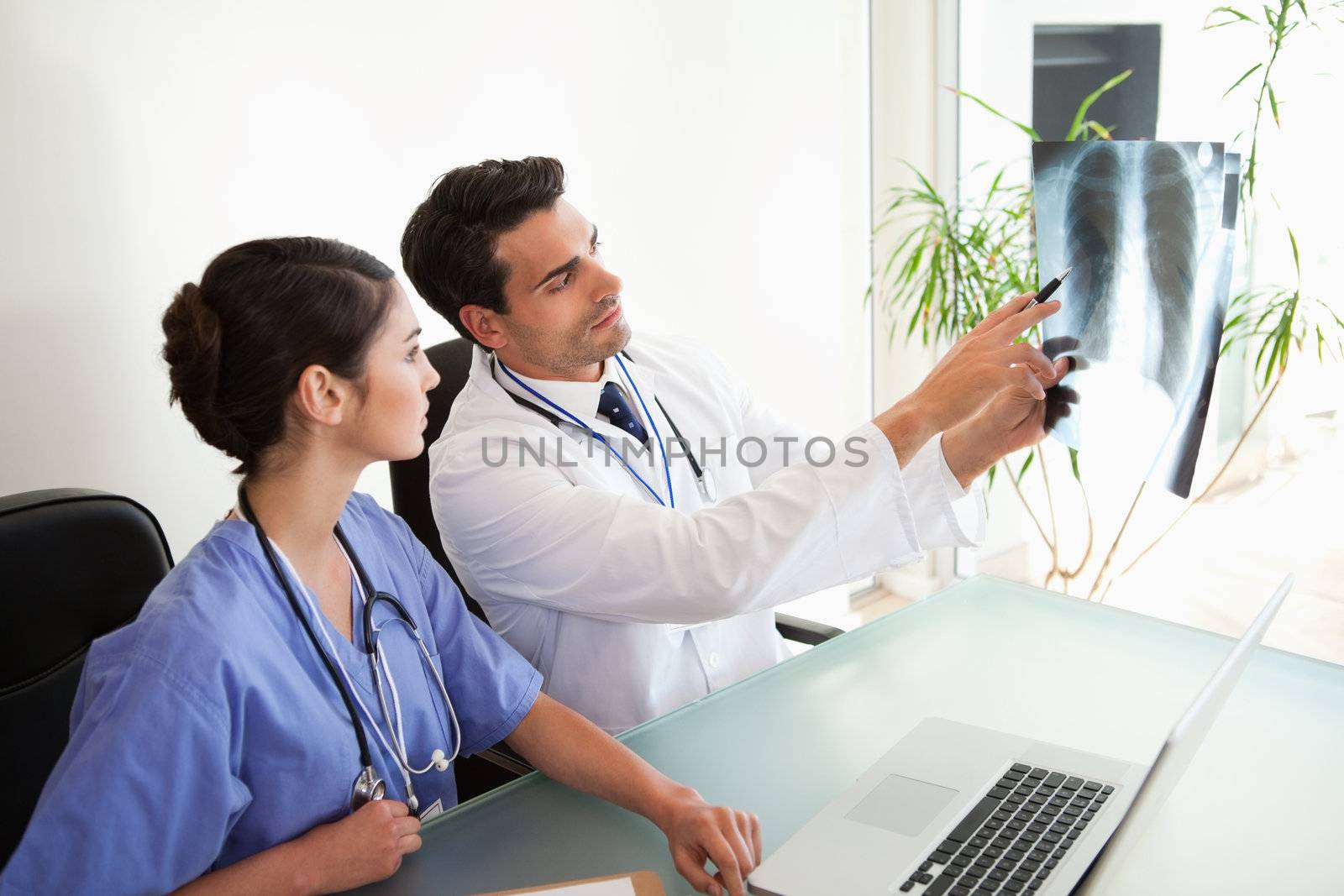 Doctors looking at a set of X-ray in an office