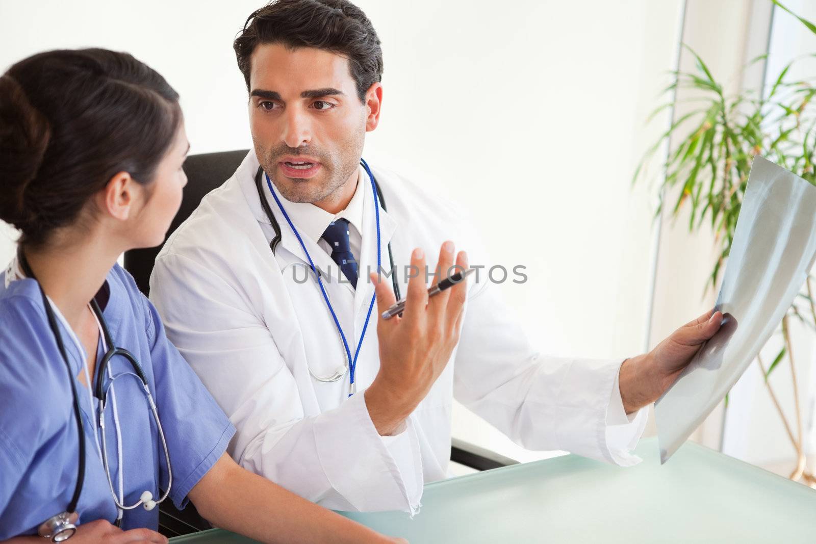 Surgeons looking at a set of X-ray in an office