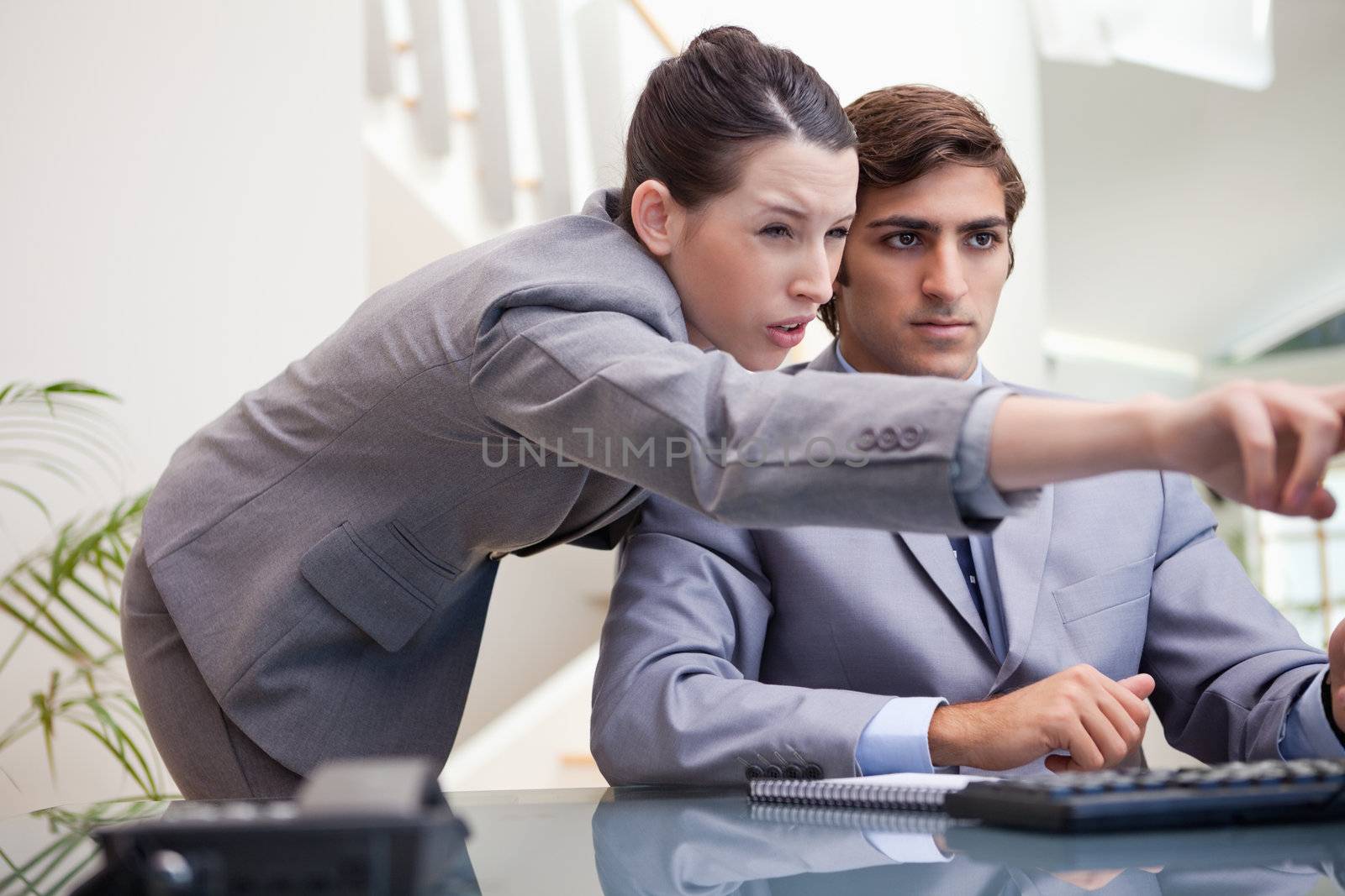 Young businesswoman explaining computer program to colleague