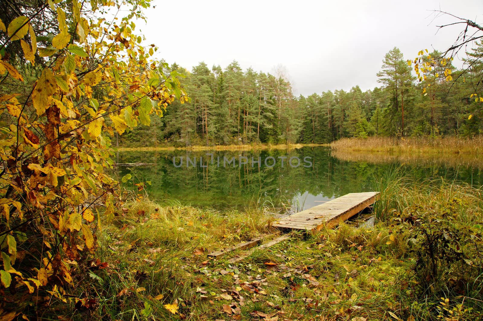 The small wooden bridge on a forests pond