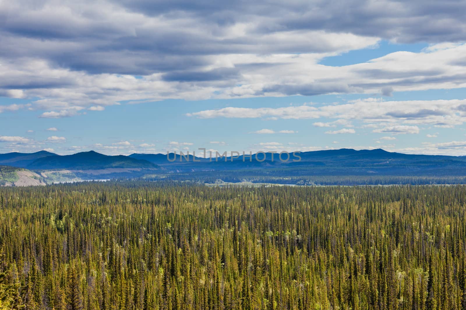 Boreal forest of central Yukon Territory, Canada, with Ogilvie Mountains range in the distance on the horizon