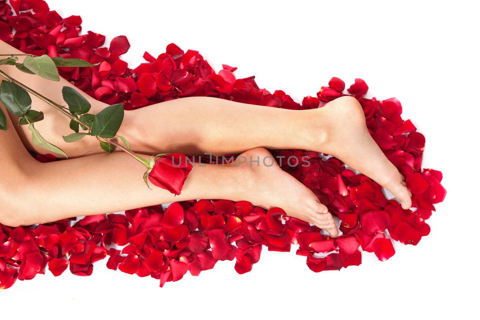 Woman against petals of red roses by bloodua