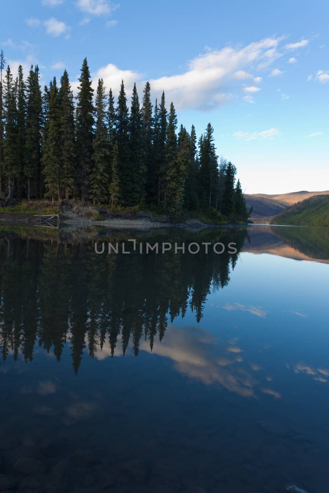 Boreal forest reflected on calm water surface of Steward River, central Yukon Territory, Canada, near eown of Mayo forming a beautiful northern riverscape.