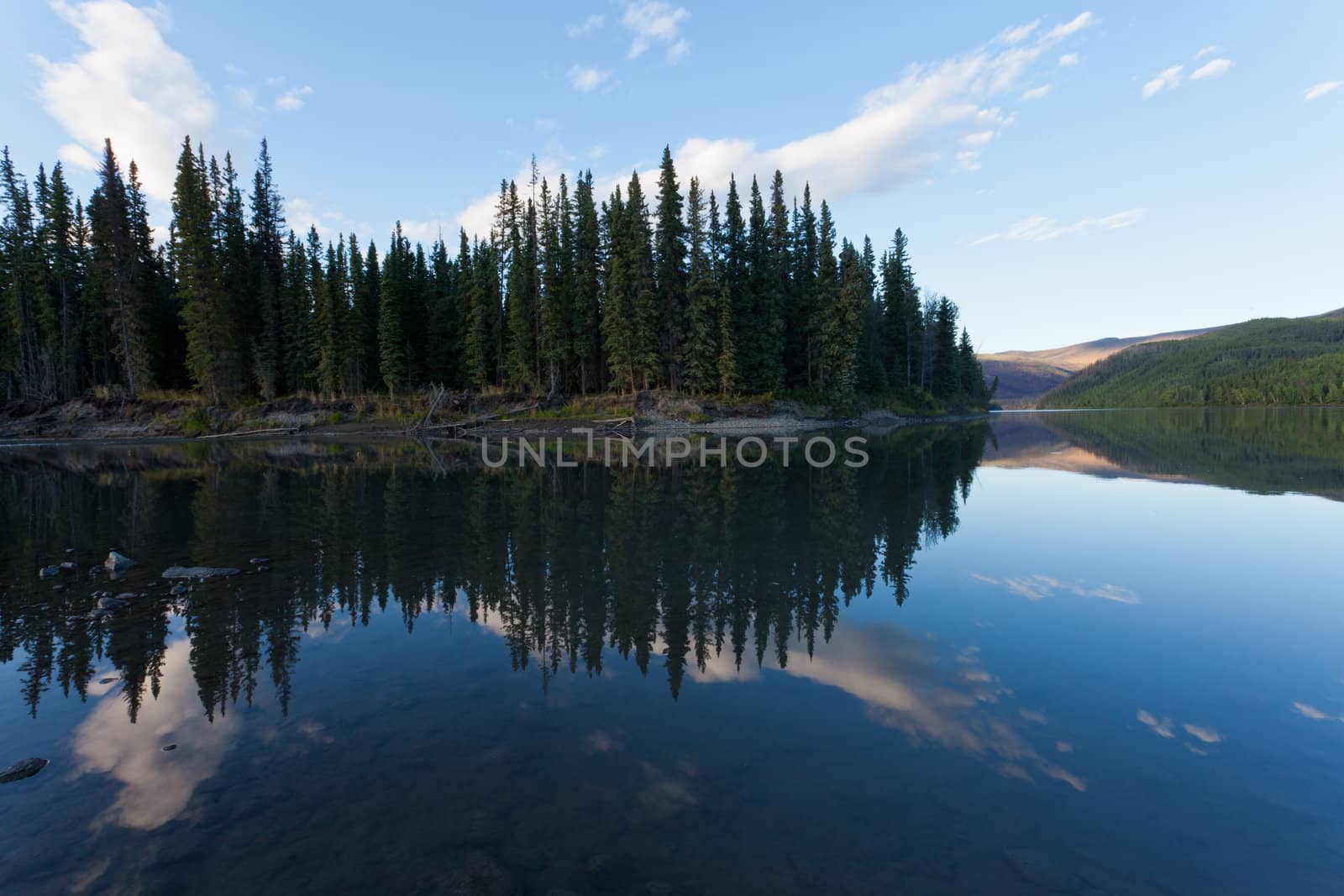 Boreal forest reflected on calm water surface of Steward River, central Yukon Territory, Canada, near eown of Mayo forming a beautiful northern riverscape.