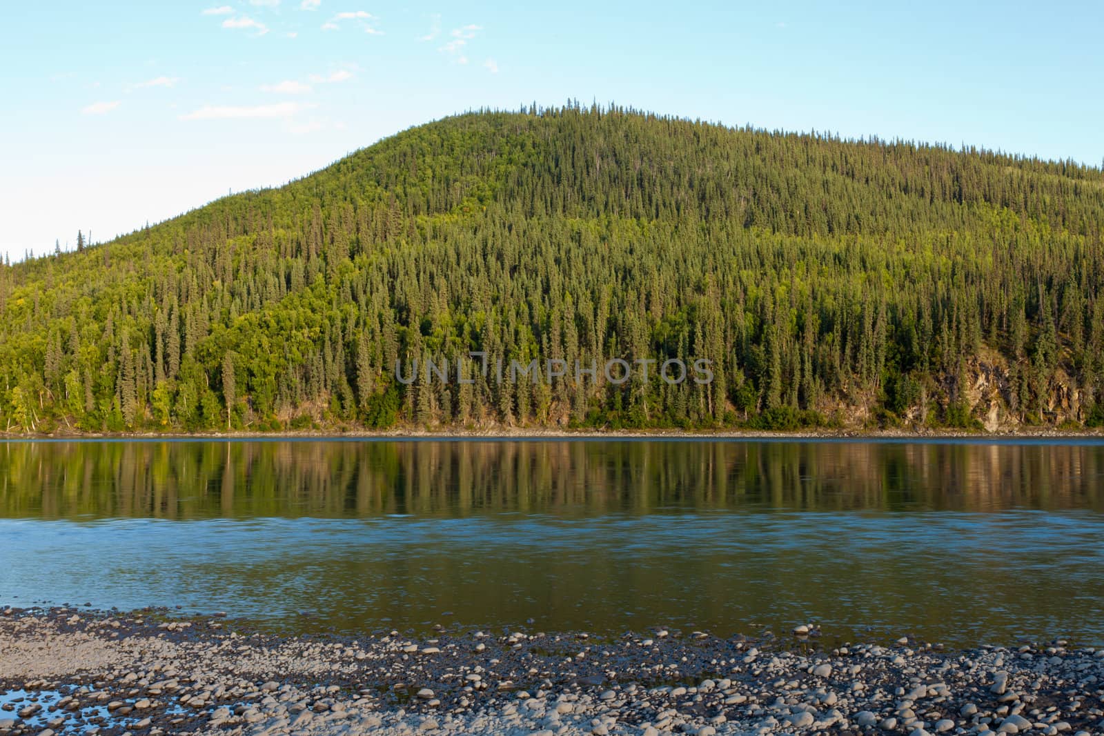 Boreal forest hills at river bank of Steward River, central Yukon Territory, Canada, near eown of Mayo forming a beautiful northern riverscape.