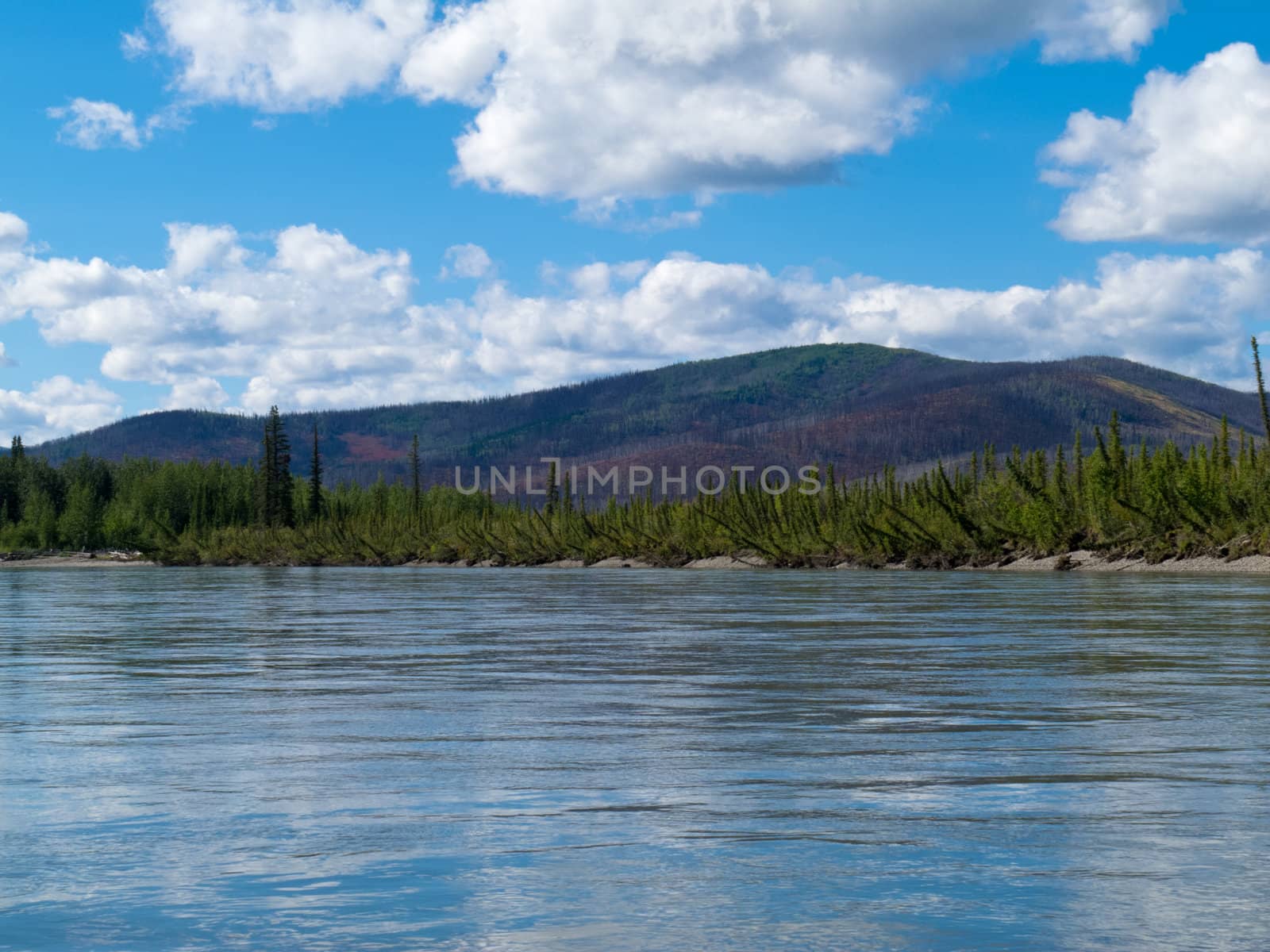 Boreal forest hills at river bank of Steward River, central Yukon Territory, Canada, near town of Mayo forming a beautiful northern riverscape.