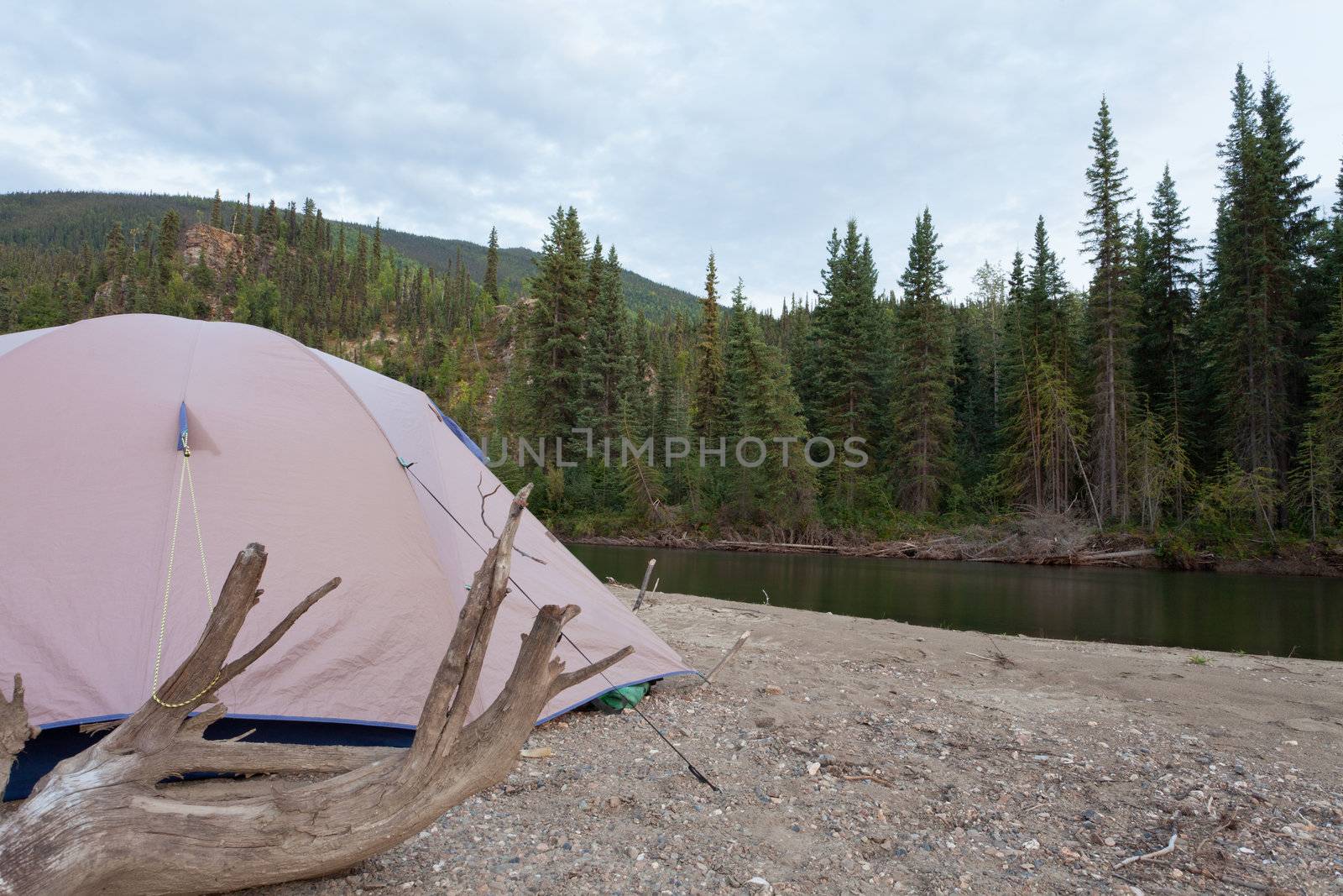 Tent pitched on a sand bar alongside McQuesten River, Yukon Territory, Canada, in remote boreal forest wilderness