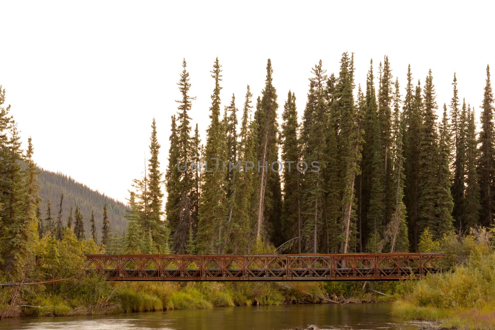 Old rotten abandoned steel bridge across McQuesten River in boreal forest taiga of central Yukon Territory, Canada