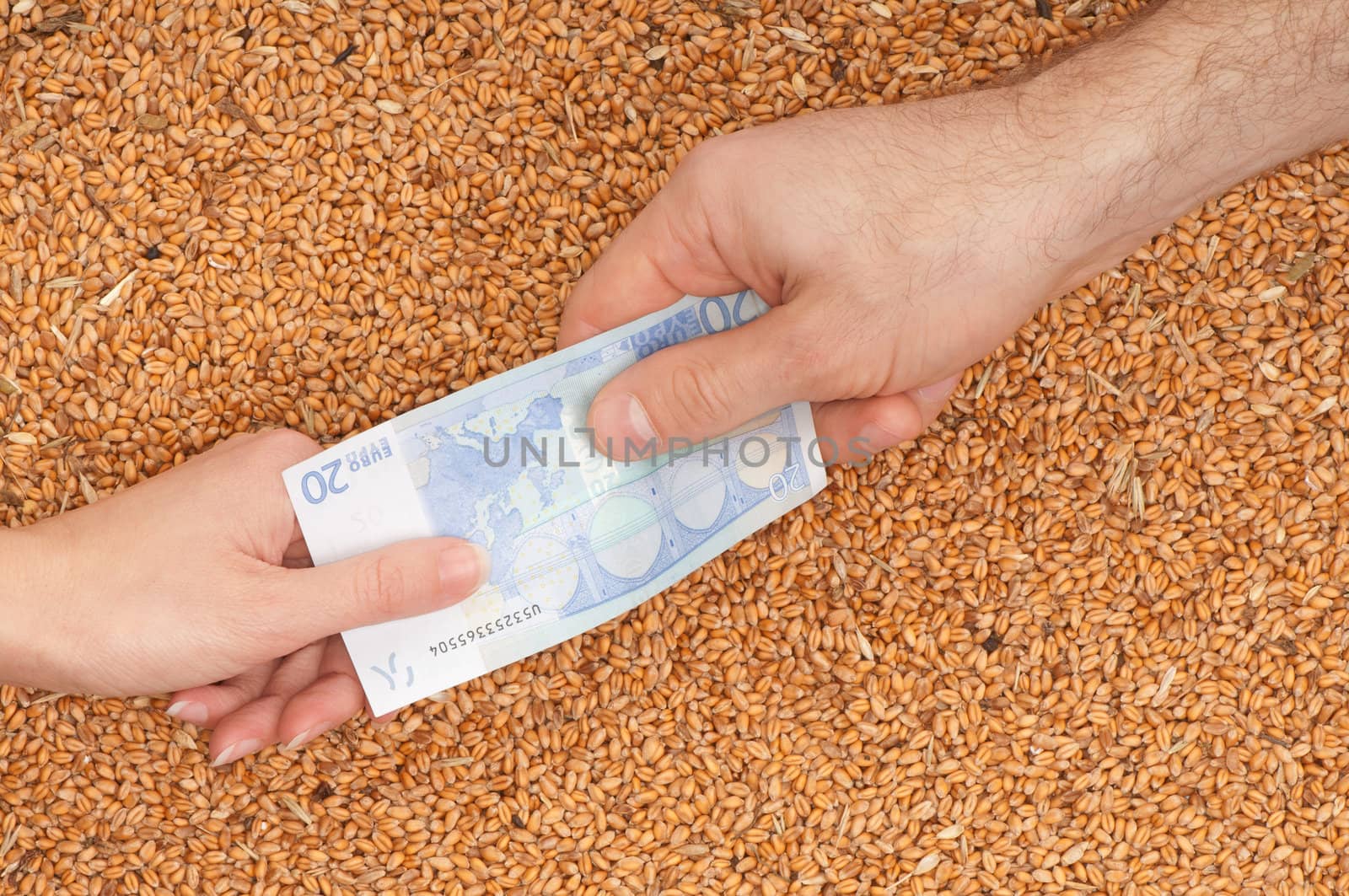 The businessman pays delivery of wheat by euro