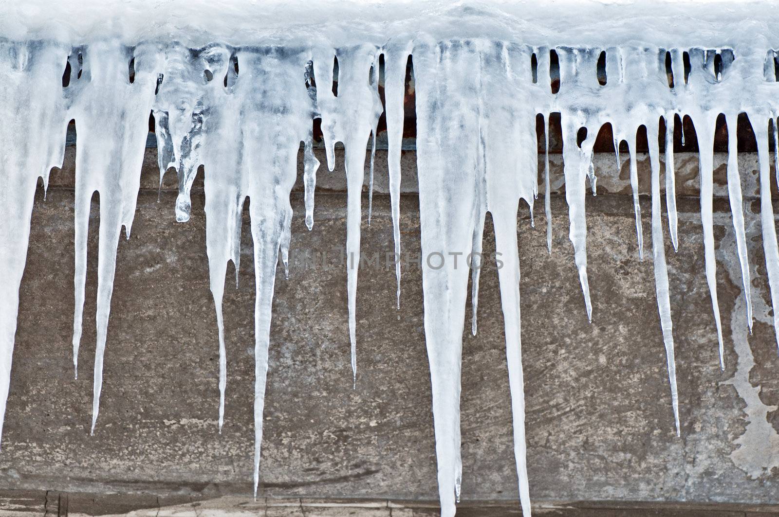 The big white icicles during cold winter