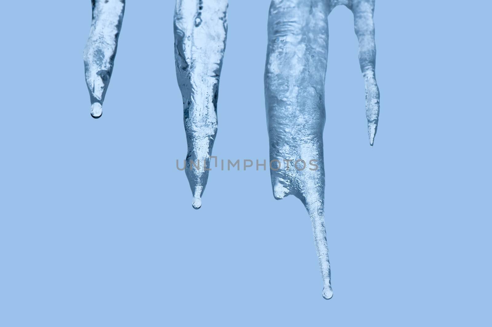Thawing icicles of a blue shade with water droplets