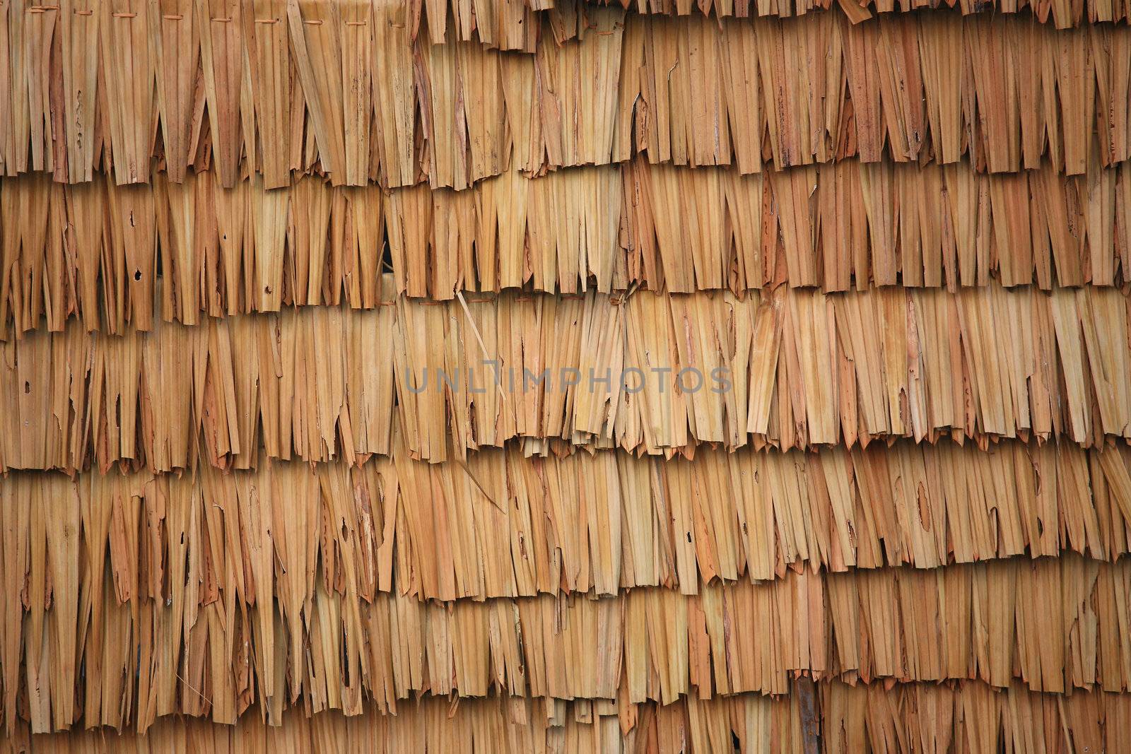 thatch roof by antpkr