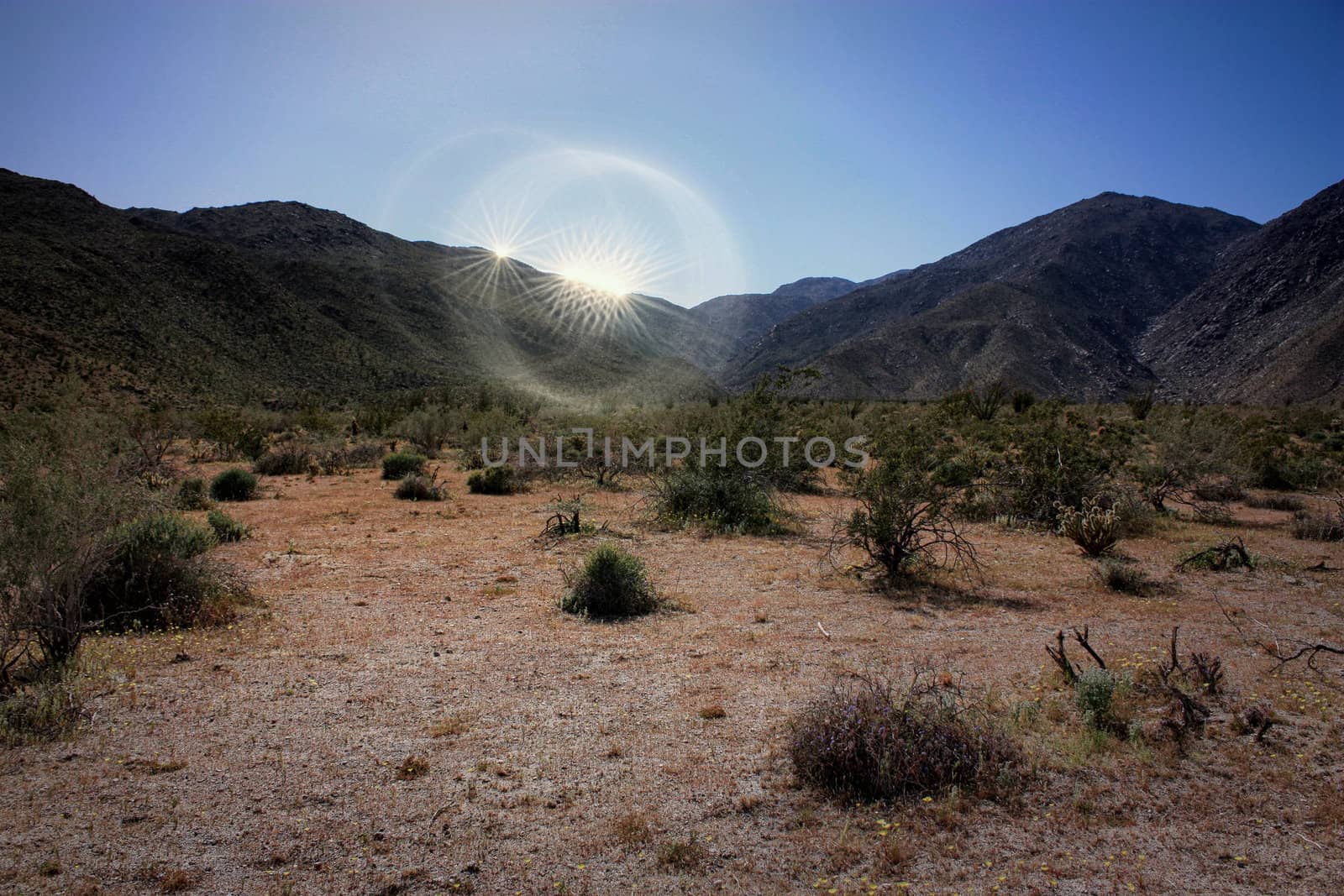 Last Glimmer of Daylight at Anza-Borrego Desert