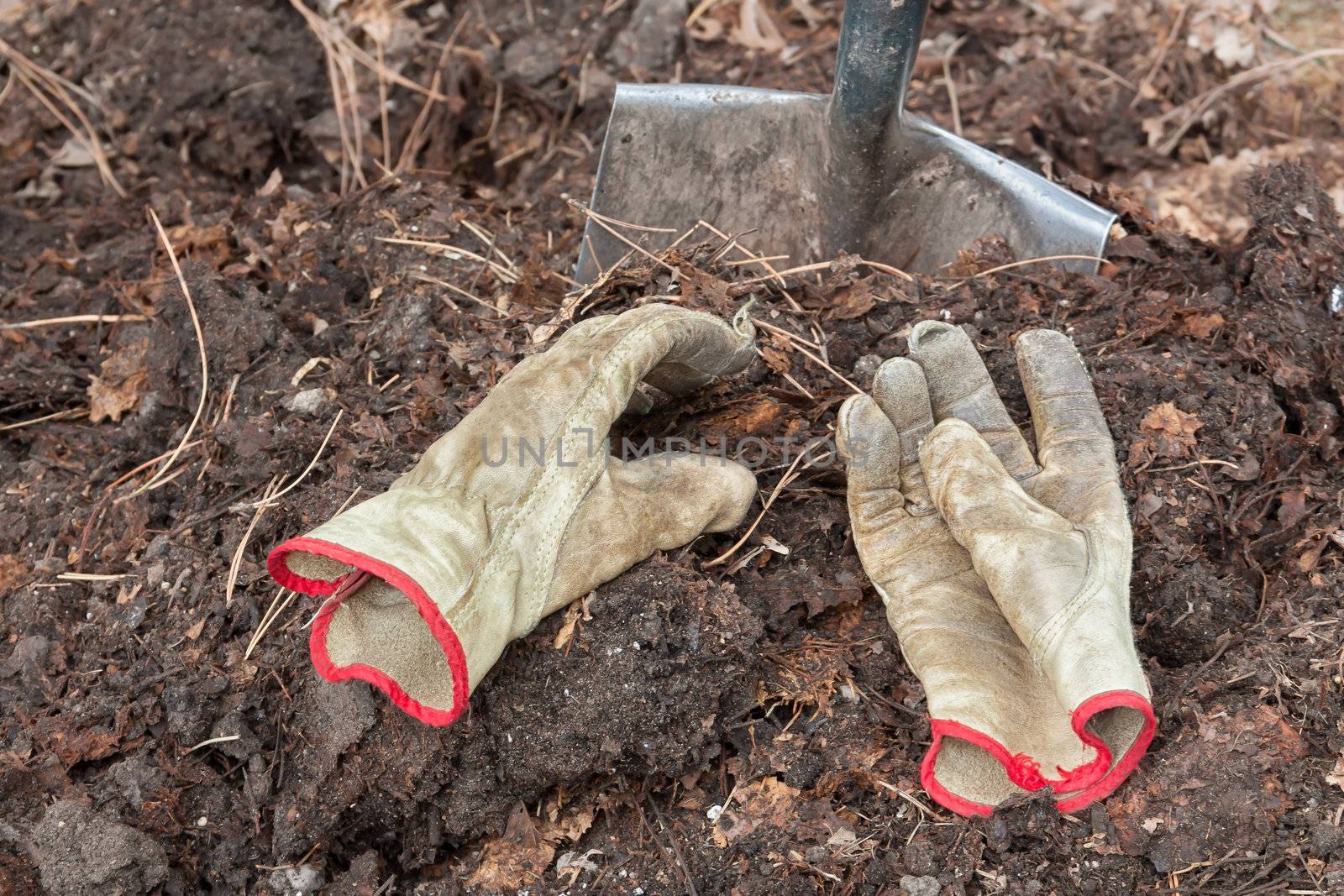 Two Worn Gloves Atop Compost Pile by a Shovel
