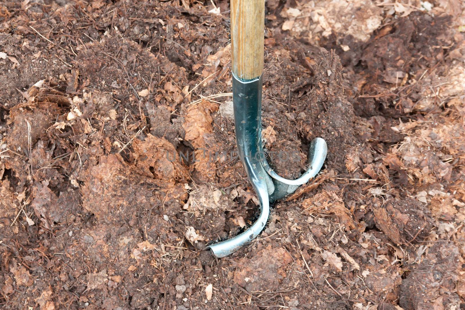 Shovel Placed in Compost Pile by wolterk