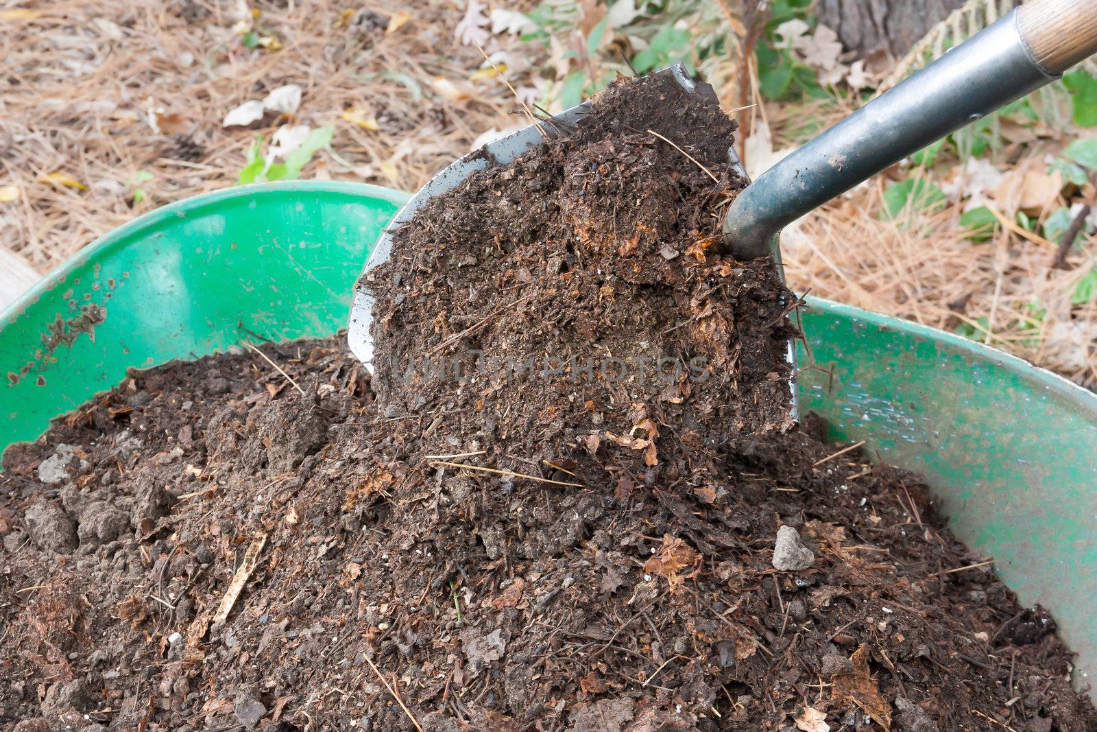 Shovel Pours Compost into Wheelbarrow by wolterk