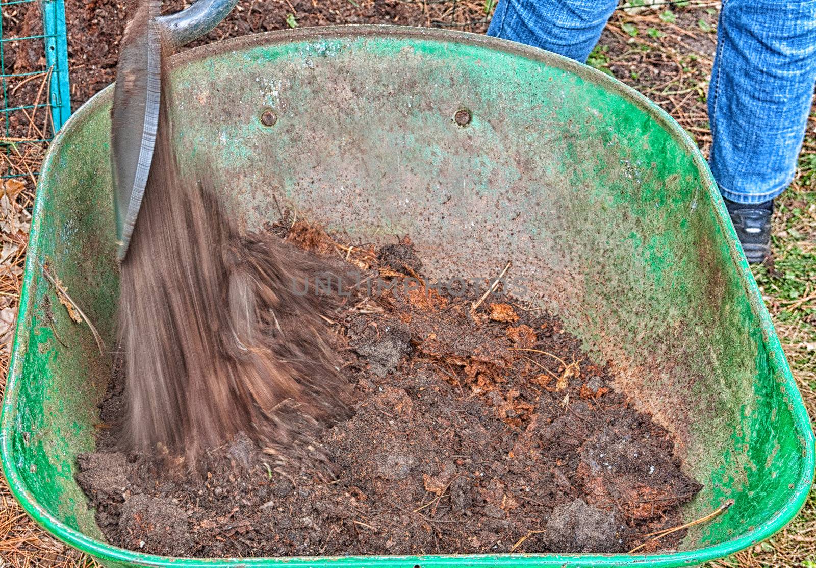 Filling a Wheelbarrow With Compost Using a Shovel