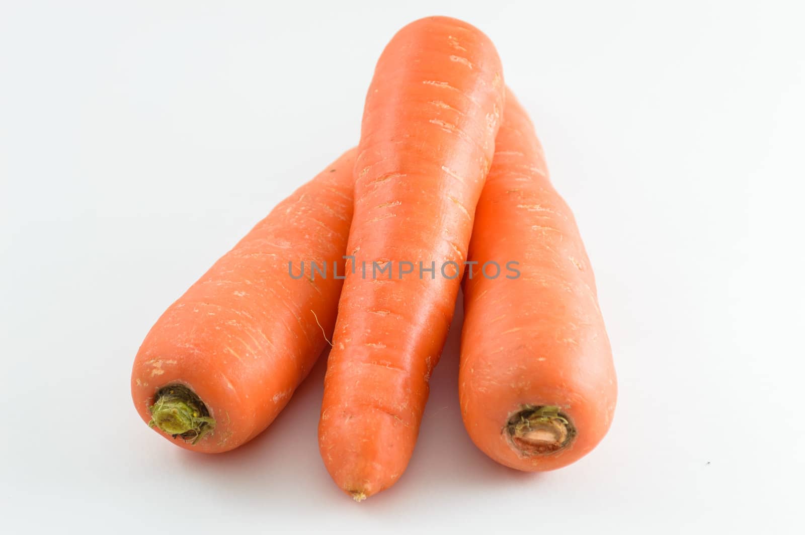 Carrots in isolated white background