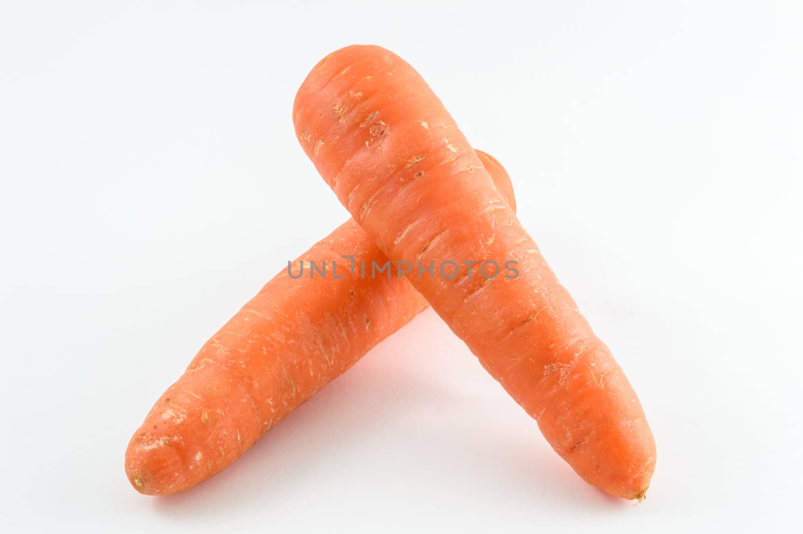 Carrots in isolated white background