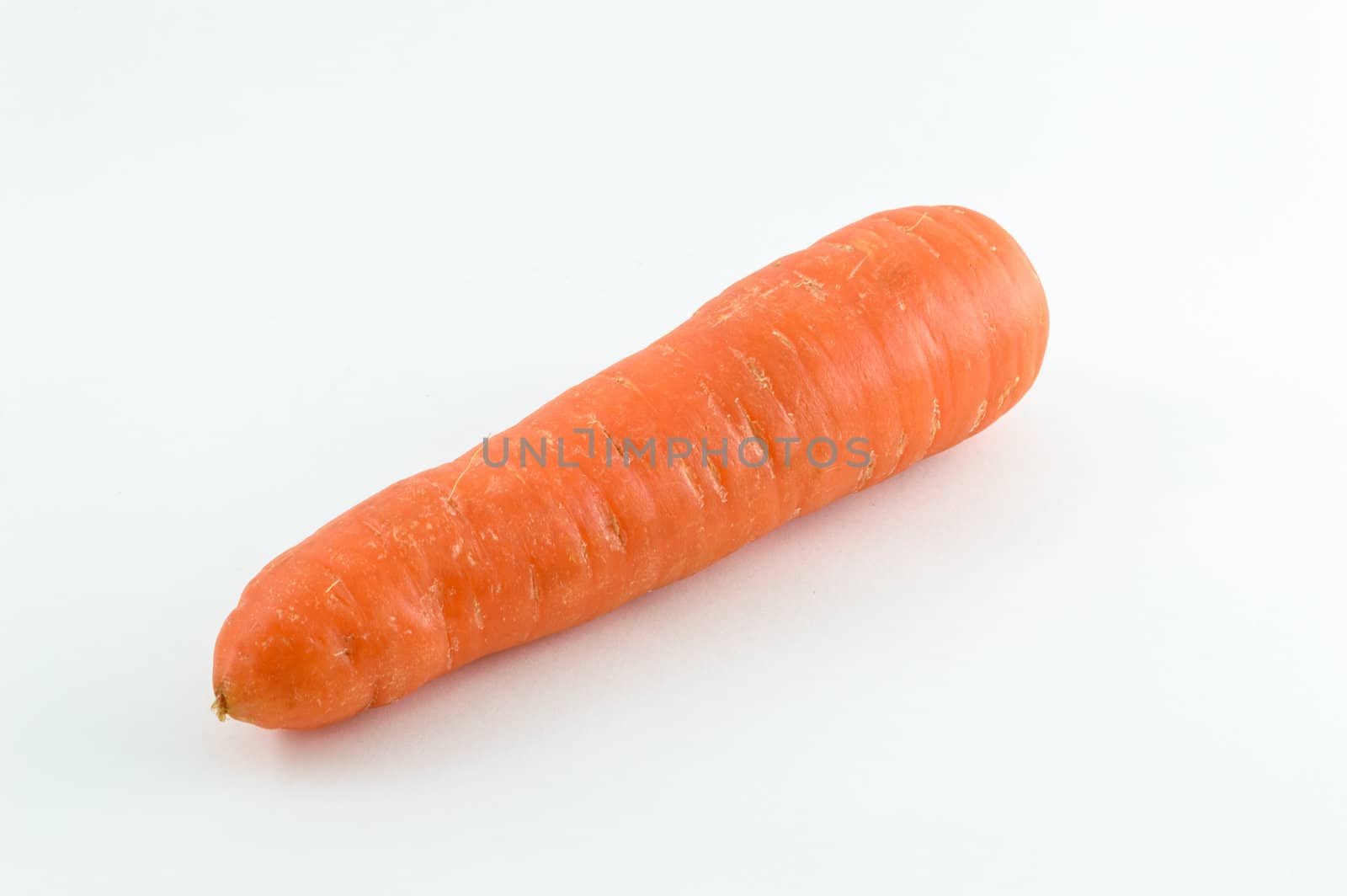 Carrot in isolated white background