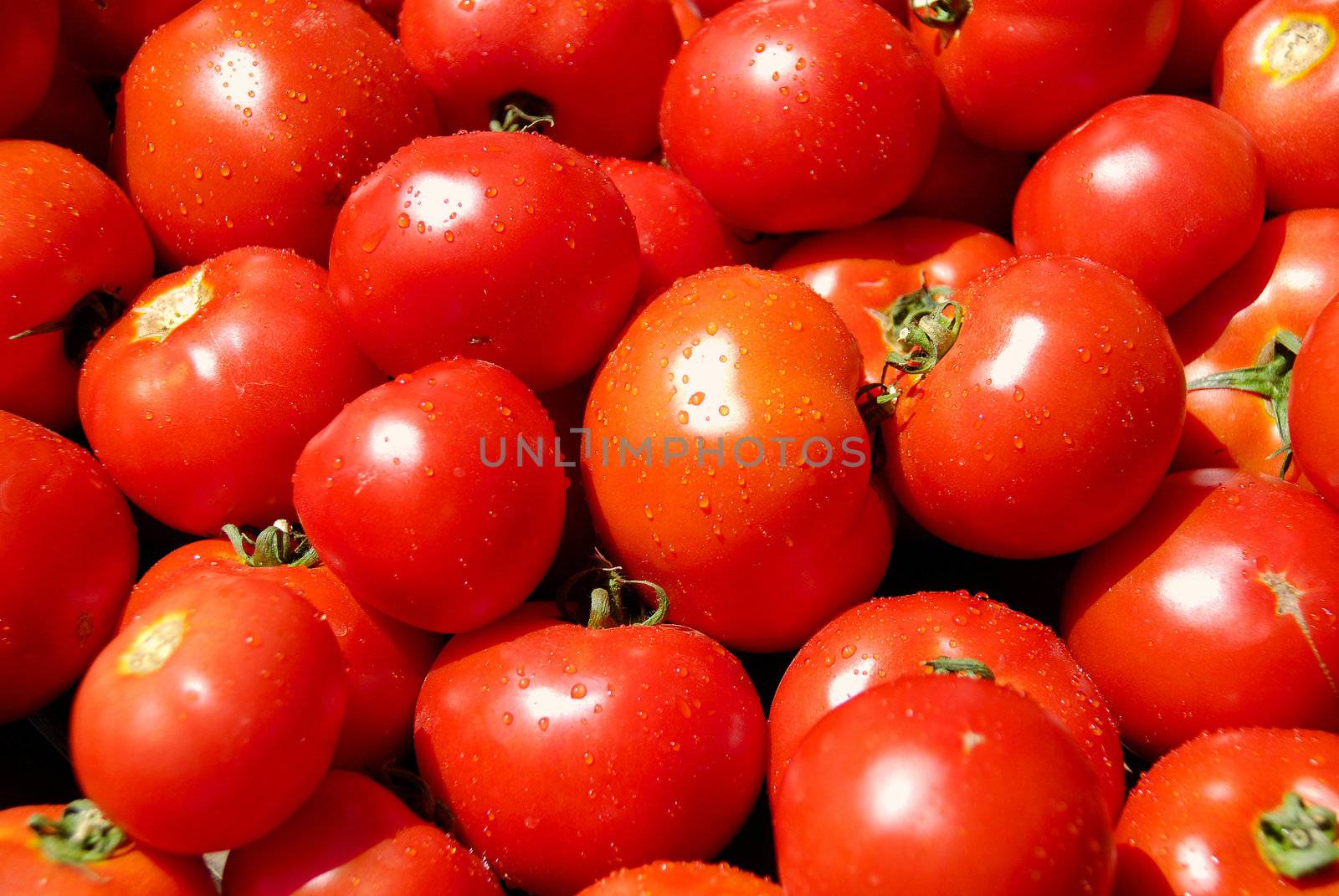 A pile of dewily red tomatoes