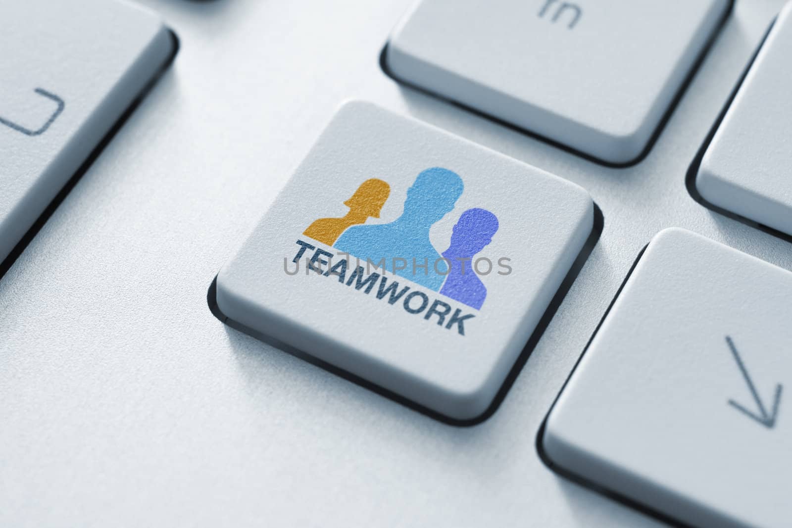 Teamwork Key by bloomua