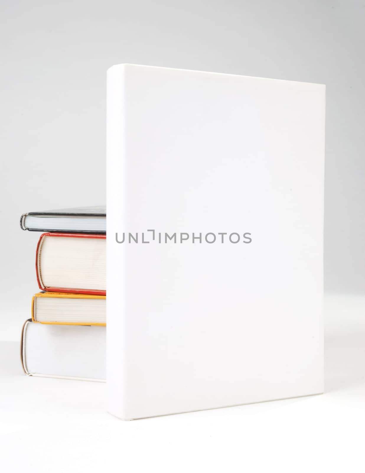 Four Blank book cover by hanusst