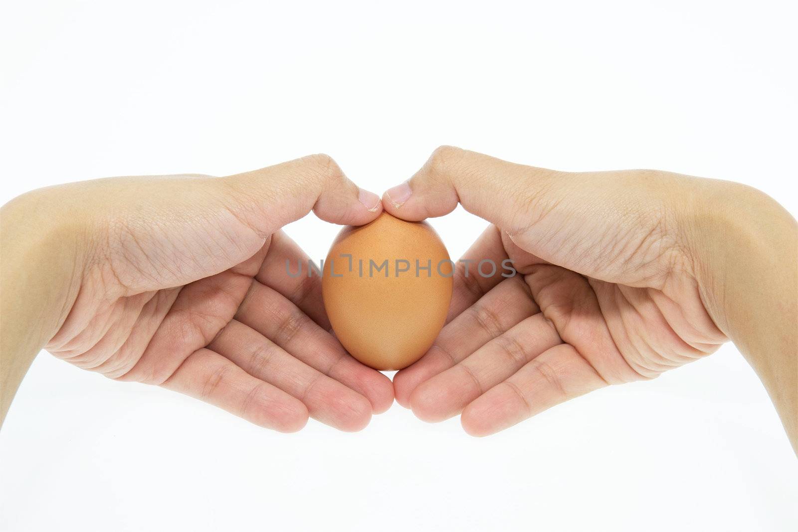 women hands with egg 