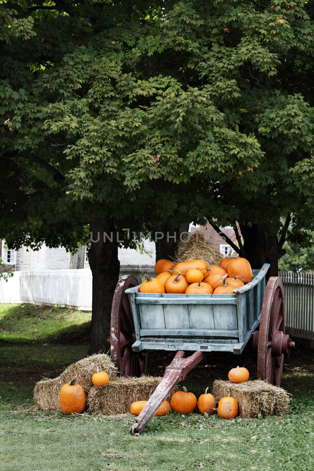 Wagon Full of Pumpkins by StephanieFrey