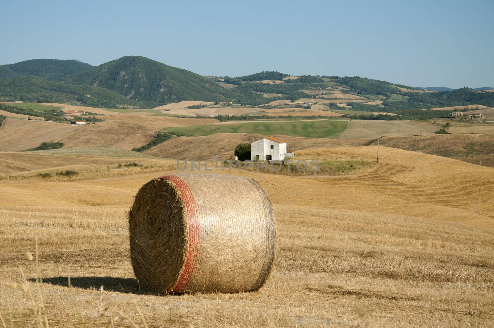 A large freshly baled round hay bale in a farm field in the Tuscan countryside