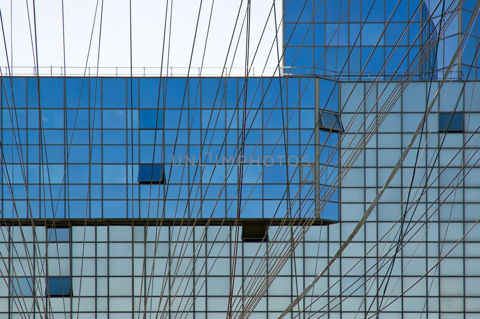 ropes on glass facade