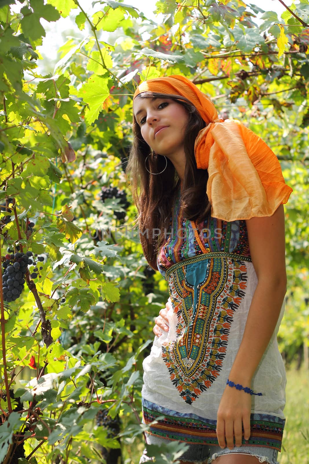 Attractive young woman dressed like a gipsy in a green vineyard