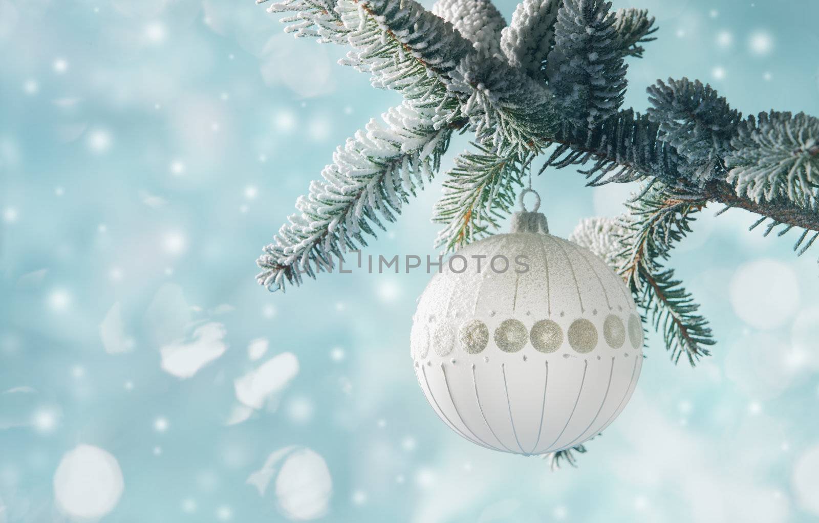 A single white bulb hangs from a frosted pine tree