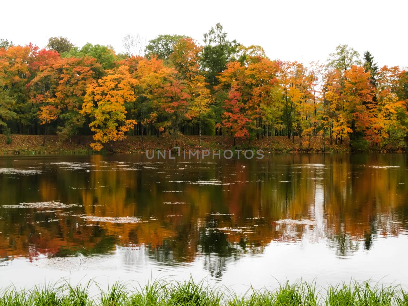 golden autumn autumn landscape reflected in water