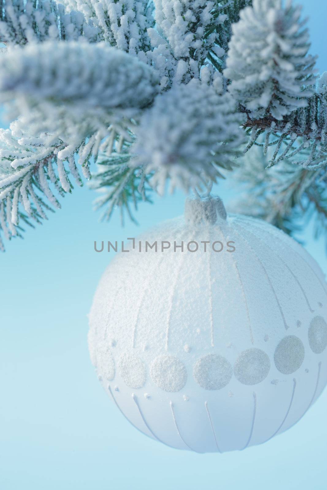 A single white bulb hangs from a frosted pine tree