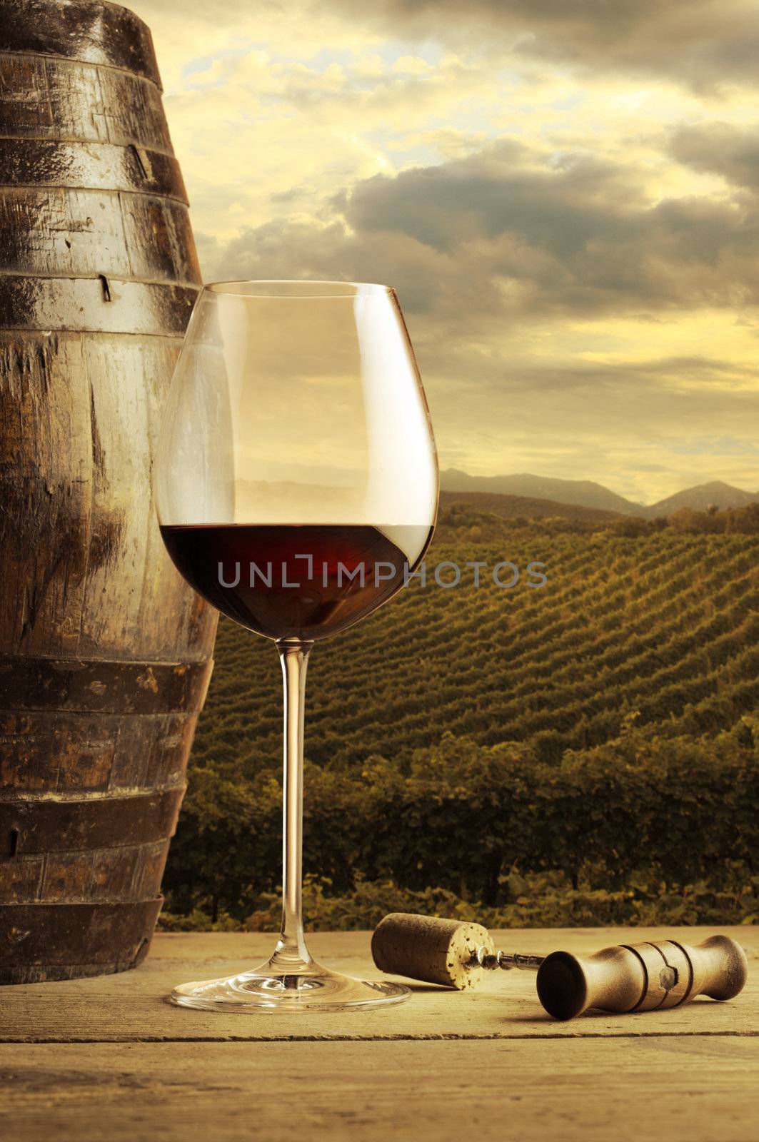 Wine glass on vineyard background