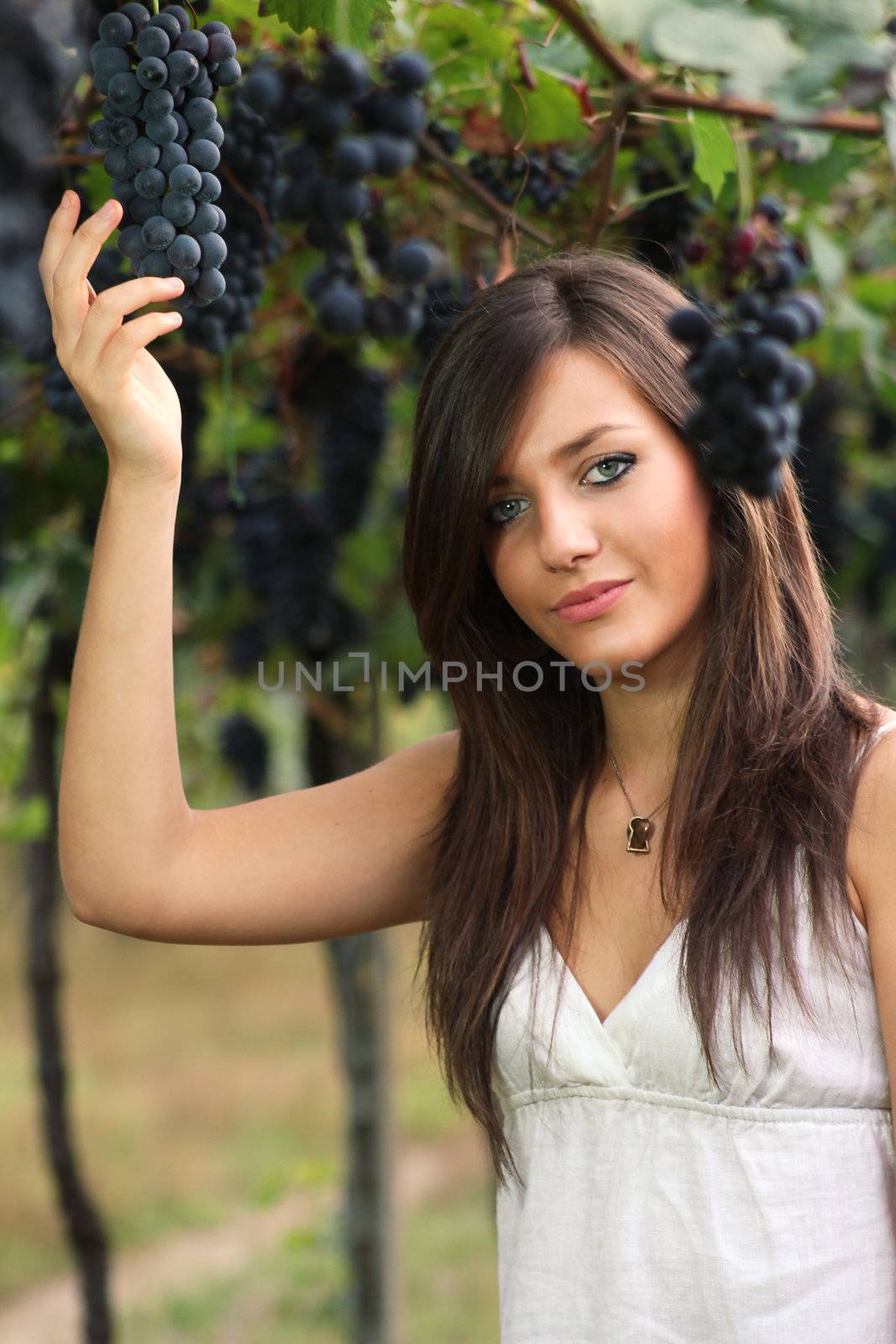 Beautiful young girl in a grapevine picking fruits