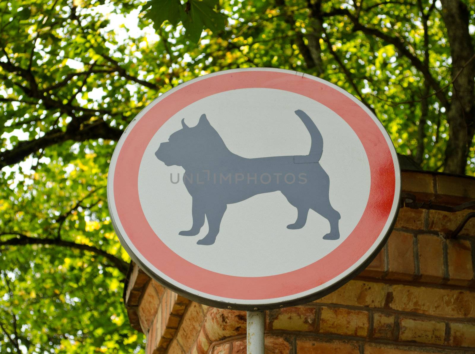 No dog sign on entrance to beautiful park territory.